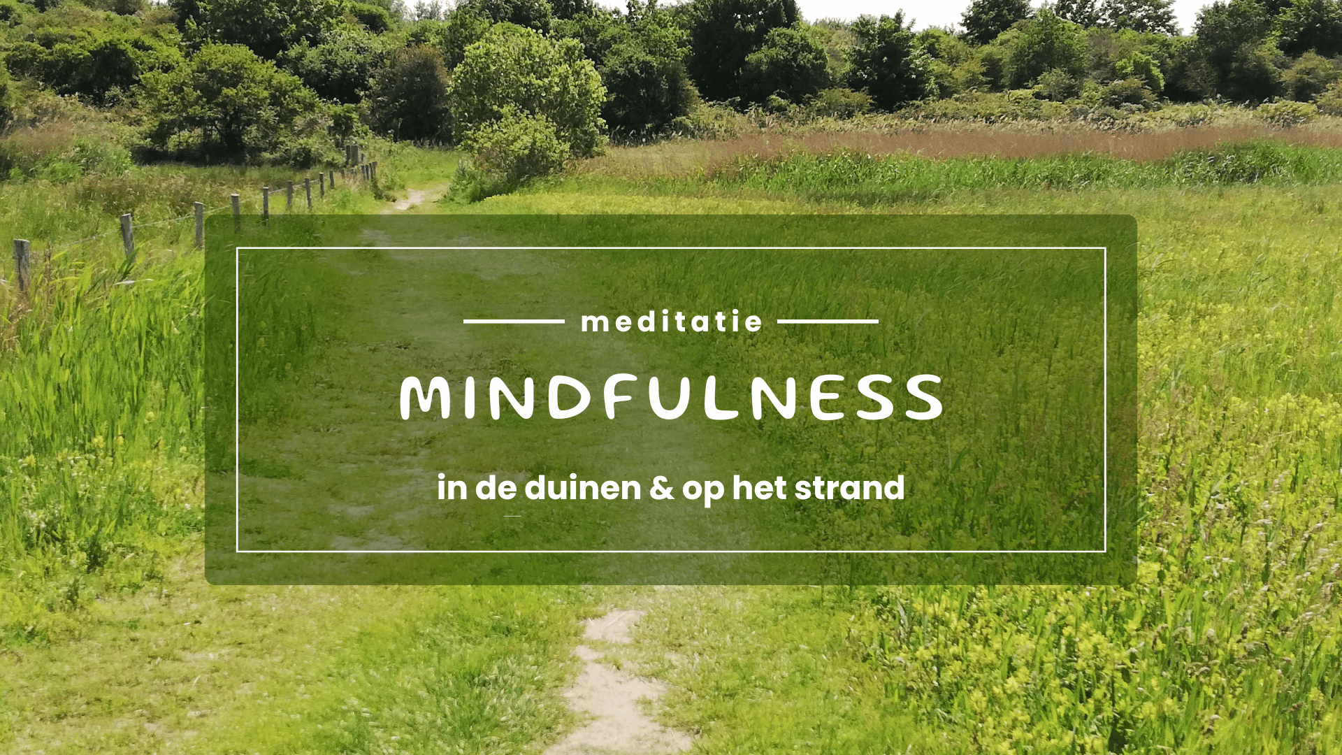 Mindfulness wandeling Goedereede Kwade Hoek strand Goeree-Overflakkee Zen Isle