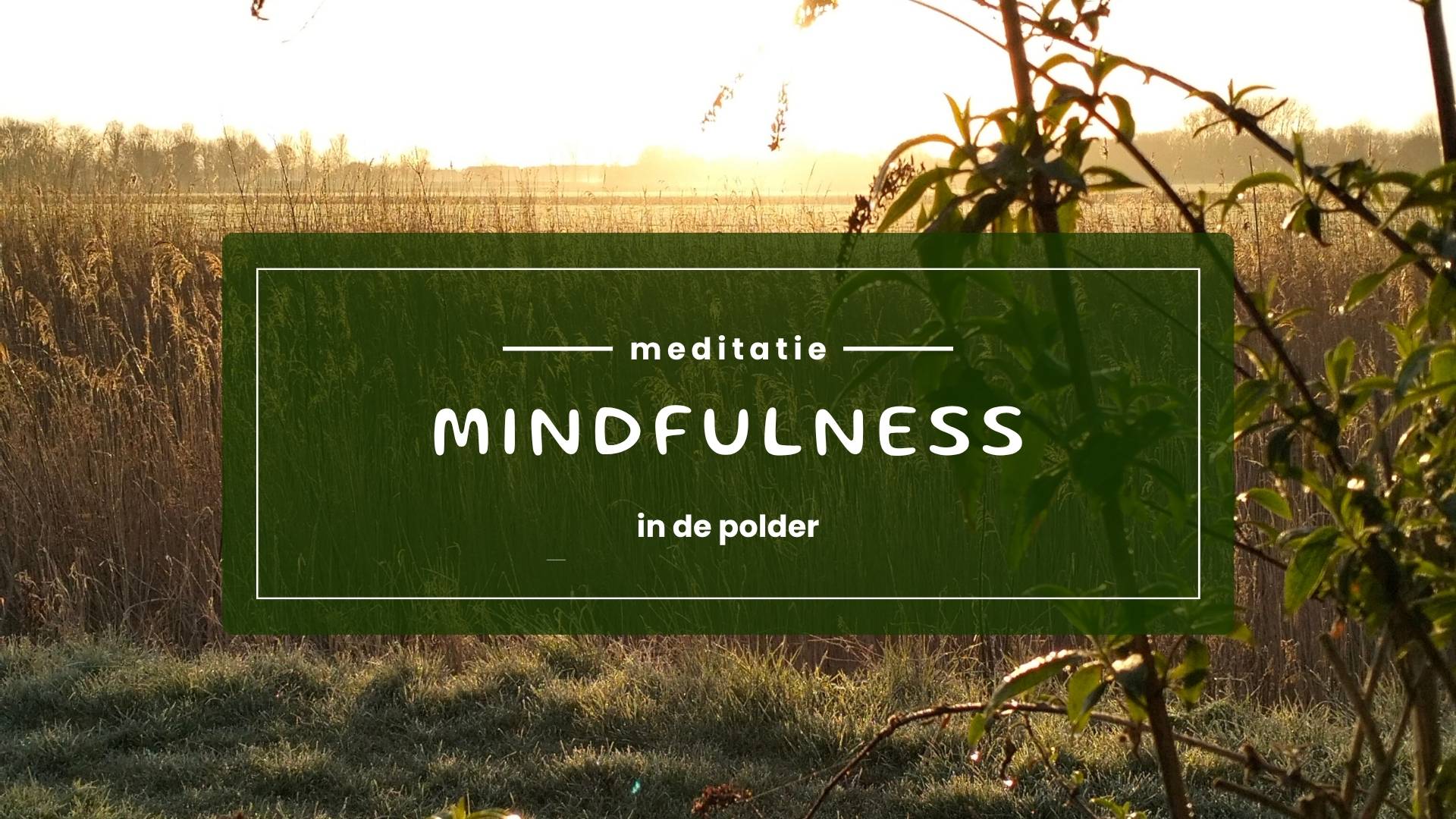 Mindfulness meditatie op Zen Isle in de polder op Goeree-Overflakkee
