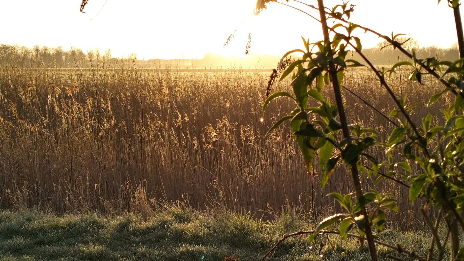 Zen Isle in de polder op Goeree-Overflakkee Zuid-Holland