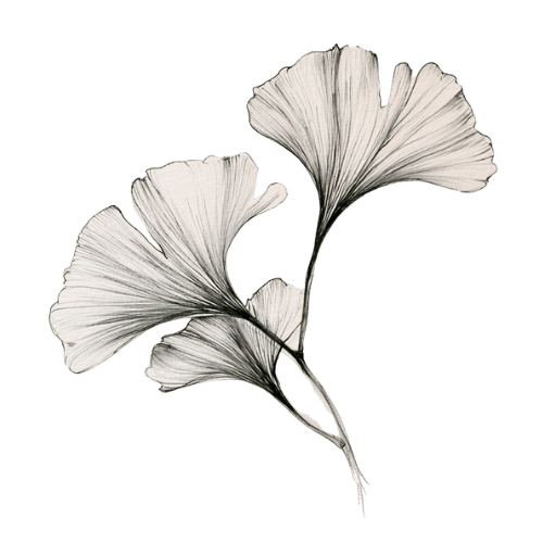 Intu&iuml;tieve zelfgenezing Gingko bladeren levensboom
