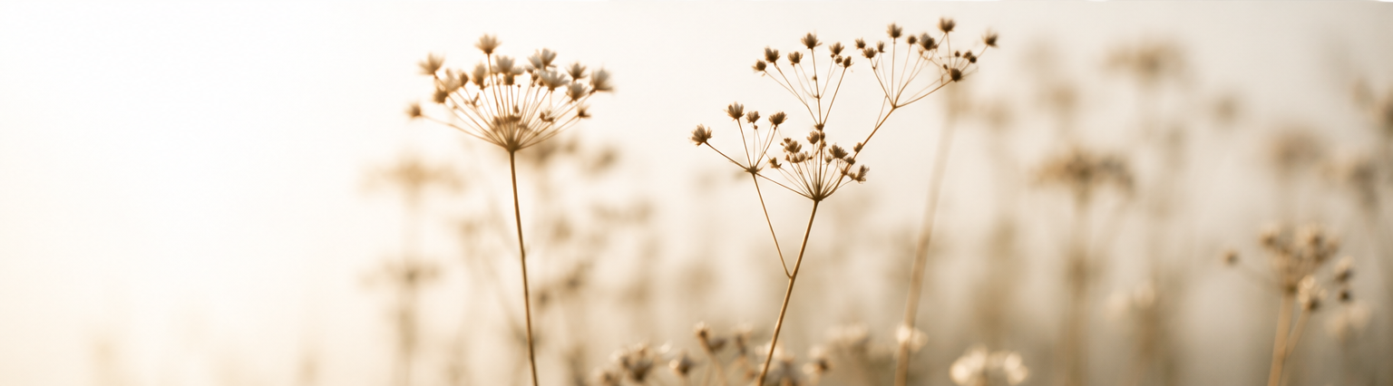 Zen-Isle_header-2 Zen Isle Bewust leven ervaren in beweging, creativiteit, natuur en aandacht