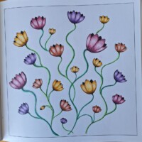 Eén tekening, vele kleuren